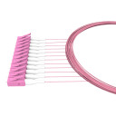 pigtail-lc-50-125-om4-2m-erika-violet-lszh-pack-of-12